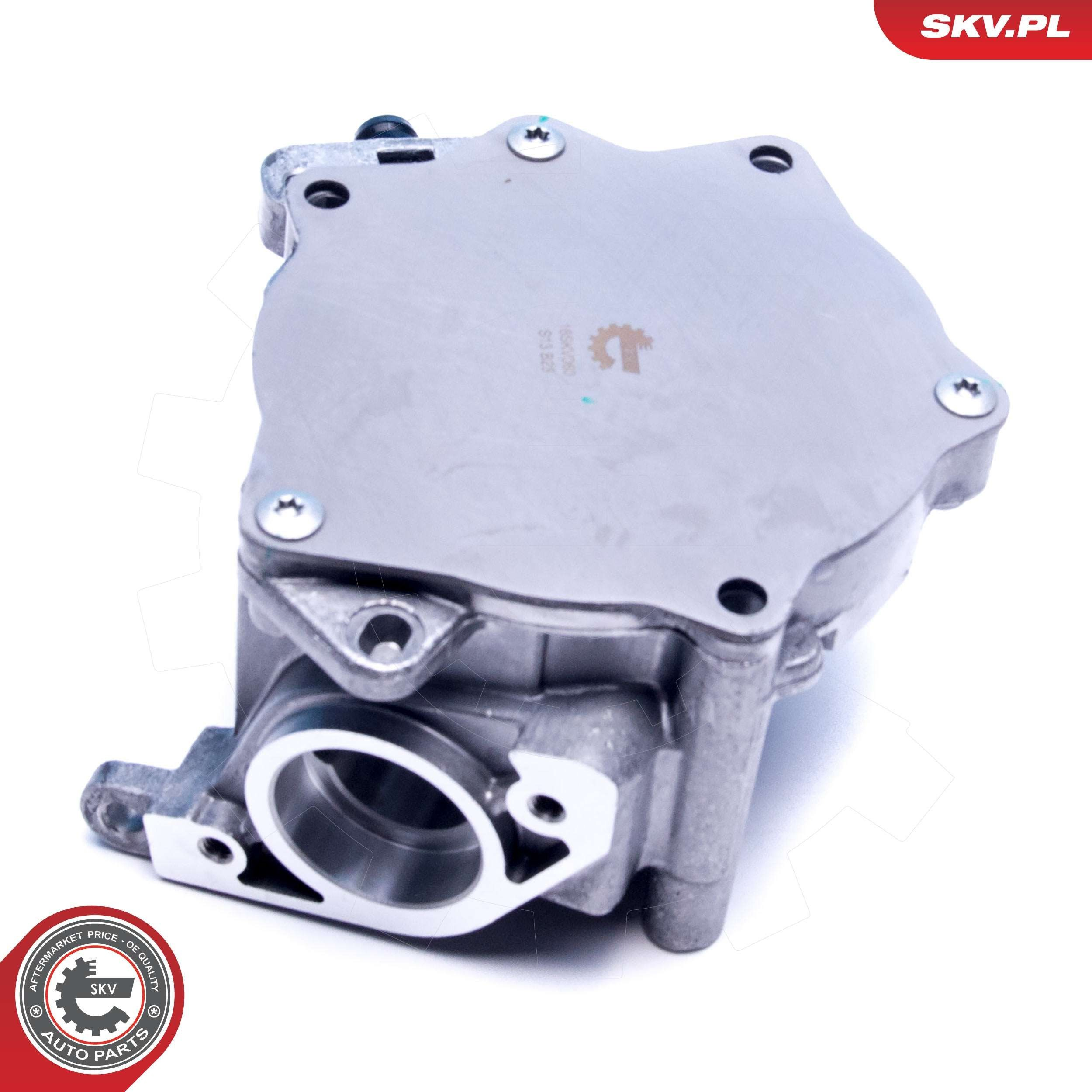 18SKV060 SKV